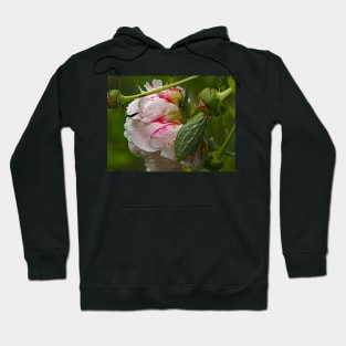 Liquid Peony Hoodie